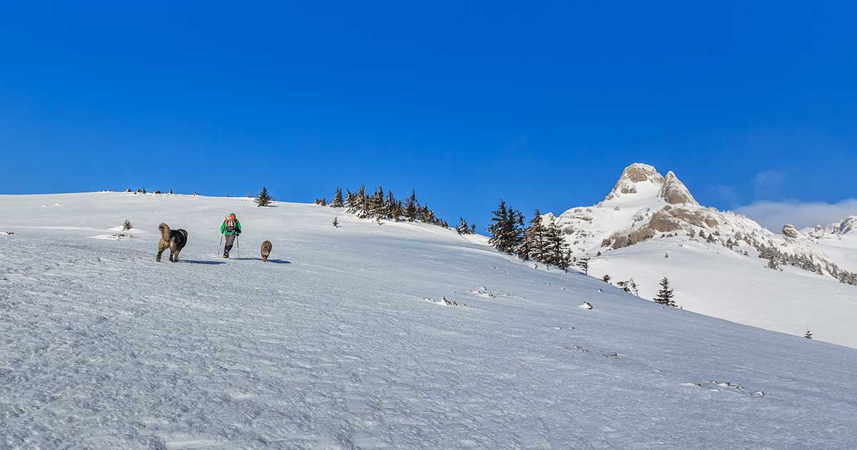 Bergklimmen in sneeuw